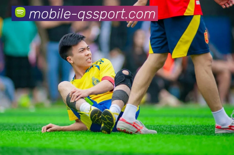 精准分析APP 封面图