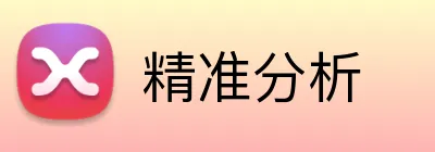 精准分析 logo